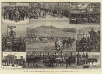 El estado de Irlanda, manifestación en la finca del Sr. Parnell, Avondale, Wicklow, amigos arando su tierra